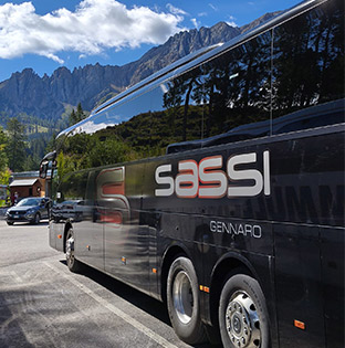 bus tourism sassiviaggi home